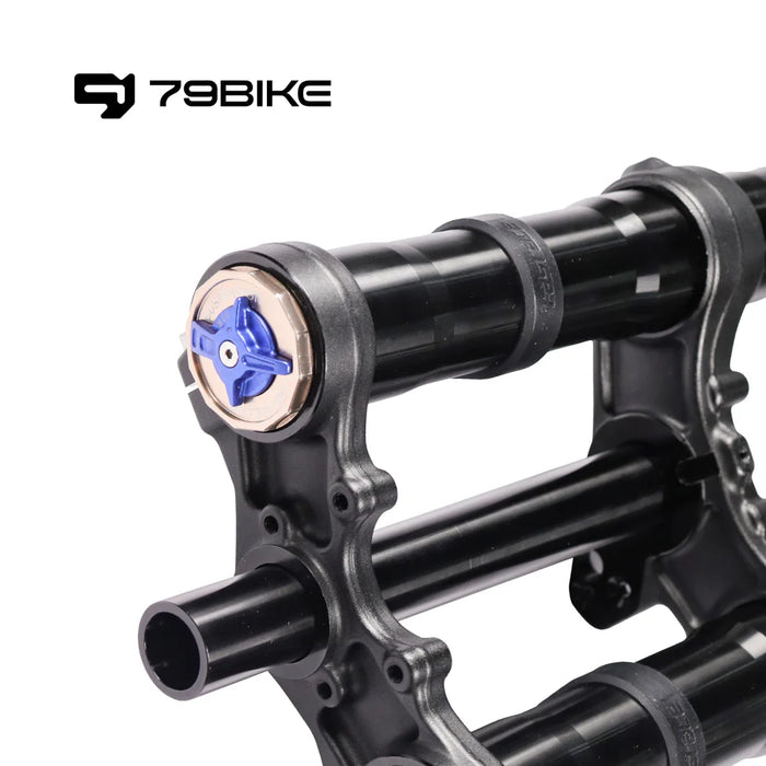 79BIKE - FRONT FORK - FASTACE 2.0 BLACK STICKER