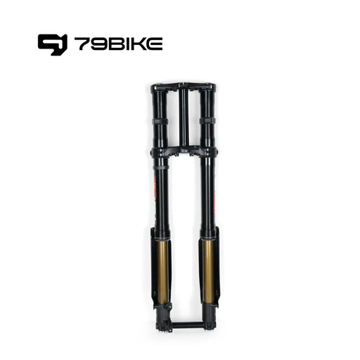 79BIKE - FRONT FORK - FASTACE 2.0 BLACK STICKER