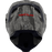 Icon Airflite Tiger's Blood Helmet