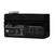Polaris Snow 12V 1.2AH AGM Battery for Ride Command - 4080210